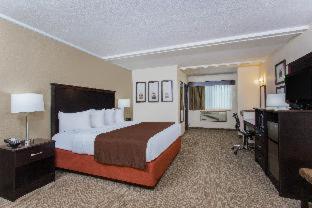Room #143263028 at AmericInn by Wyndham Janesville