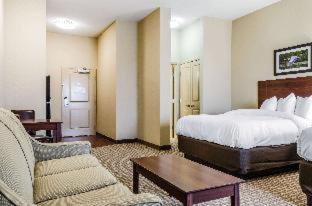 Room #273363206 at MainStay Suites Hackberry Sportsman's Lodge
