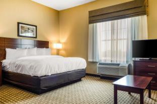 Room #273363207 at MainStay Suites Hackberry Sportsman's Lodge