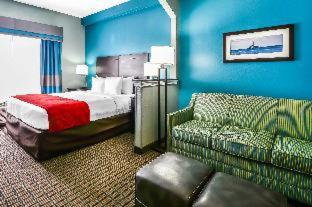 Room #48938608 at Comfort Suites Tampa - Brandon
