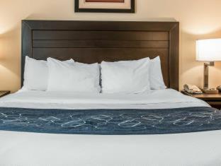 Room #48998007 at Comfort Suites South Bend near Casino