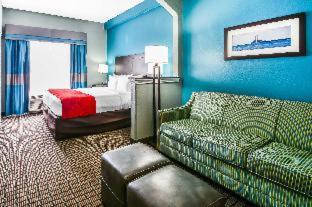 Room #48938608 at Comfort Suites Tampa - Brandon