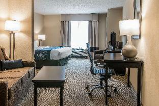 Room #48998008 at Comfort Suites South Bend near Casino