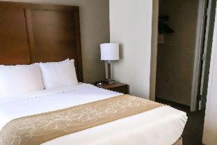 Room #49178121 at Comfort Suites Clarksville near Governors Square Mall