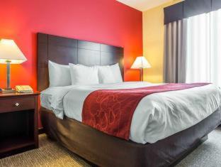 Room #29566610 at Comfort Suites Rock Hill Manchester Meadows Area