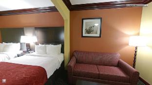 Room #49186410 at Comfort Suites Lake Jackson Clute