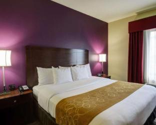 Room #45788108 at Comfort Suites Little Rock West