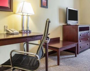 Room #29566611 at Comfort Suites Rock Hill Manchester Meadows Area