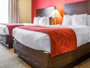 Room #29566611 at Comfort Suites Rock Hill Manchester Meadows Area
