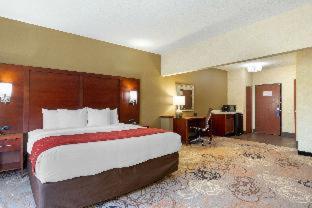 Room #31997113 at Holiday Inn Express & Suites Southfield Detroit by IHG