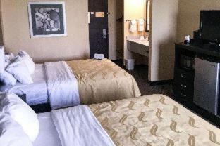 Room #48987310 at Quality Inn & Suites Mendota near I-39