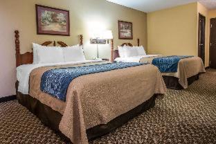 Room #48987310 at Quality Inn & Suites Mendota near I-39