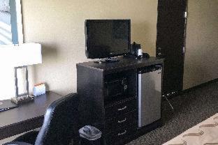 Room #48987312 at Quality Inn & Suites Mendota near I-39