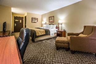 Room #48987312 at Quality Inn & Suites Mendota near I-39