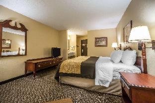 Room #48987312 at Quality Inn & Suites Mendota near I-39