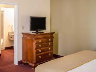 Room #48948613 at Quality Inn & Suites Pensacola Bayview