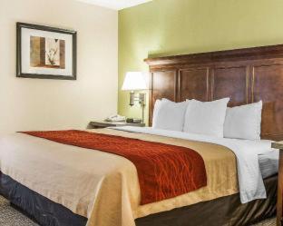 Room #25013426 at Comfort Inn Grove City - Columbus South