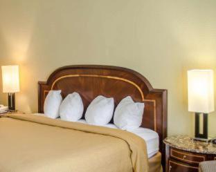Room #48948617 at Quality Inn & Suites Pensacola Bayview
