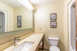 Room #49034308 at Comfort Suites Escanaba West