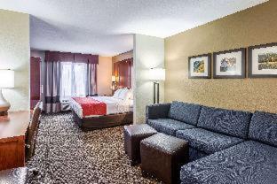 Room #49034308 at Comfort Suites Escanaba West