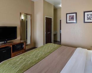Room #90714209 at Comfort Inn Midland South I-20