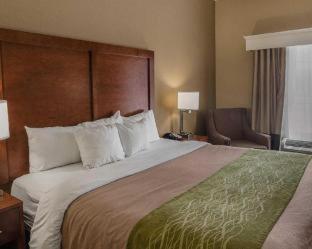Room #90714209 at Comfort Inn Midland South I-20