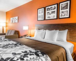 Room #131032313 at Sleep Inn & Suites Page at Lake Powell