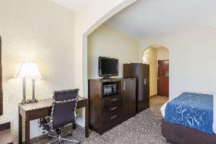 Room #18360510 at Comfort Suites New Orleans East
