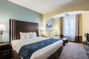 Room #18360510 at Comfort Suites New Orleans East