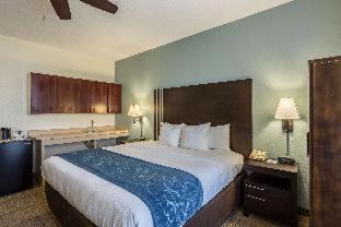 Room #18360512 at Comfort Suites New Orleans East