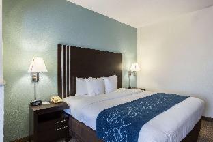 Room #18360513 at Comfort Suites New Orleans East