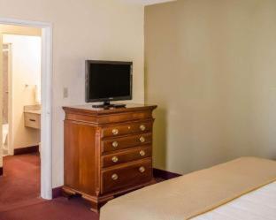 Room #48948621 at Quality Inn & Suites Pensacola Bayview