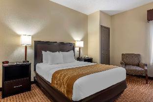 Room #48997409 at Comfort Inn & Suites Warsaw near US-30
