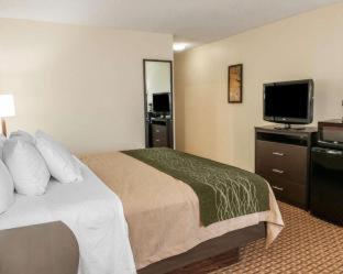 Room #48997409 at Comfort Inn & Suites Warsaw near US-30