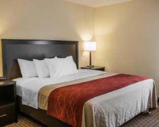 Room #48997411 at Comfort Inn & Suites Warsaw near US-30