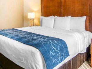 Room #27469309 at Comfort Suites Fredericksburg South