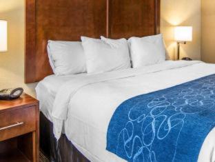 Room #27469309 at Comfort Suites Fredericksburg South