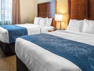 Room #27469311 at Comfort Suites Fredericksburg South