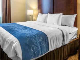 Room #27469311 at Comfort Suites Fredericksburg South