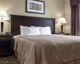 Room #62218705 at MainStay Suites Bismarck