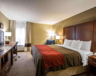 Room #49076511 at Comfort Inn Biltmore West