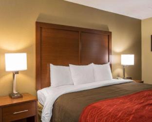 Room #49076511 at Comfort Inn Biltmore West