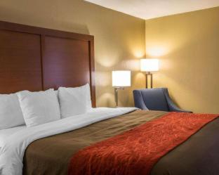 Room #49076513 at Comfort Inn Biltmore West