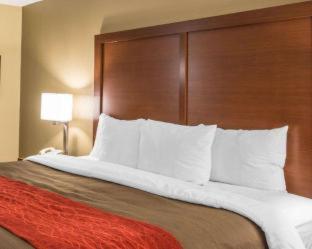Room #49076513 at Comfort Inn Biltmore West