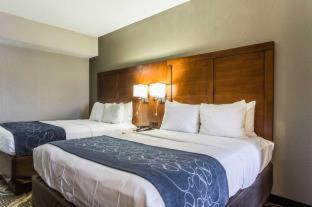 Room #49076706 at Comfort Suites Pineville - Ballantyne Area
