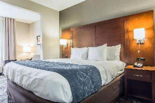 Room #49076707 at Comfort Suites Pineville - Ballantyne Area