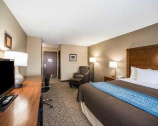 Room #24654308 at Comfort Inn & Suites St. Louis - Hazelwood