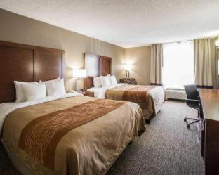 Room #24654309 at Comfort Inn & Suites St. Louis - Hazelwood