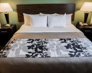 Room #45761311 at Sleep Inn & Suites Ruston Near University