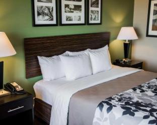 Room #45761313 at Sleep Inn & Suites Ruston Near University